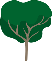 אייקון כללי