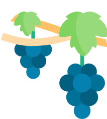 אייקון כרמים