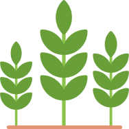 אייקון גידולי שדה